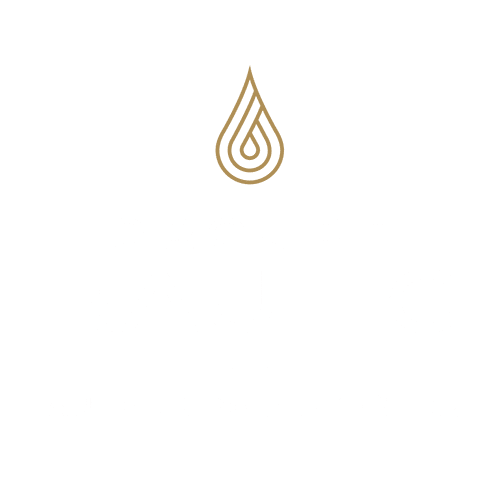 Groupe Raulic - logo