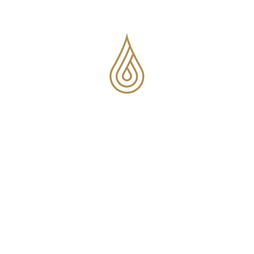 Groupe Raulic - logo